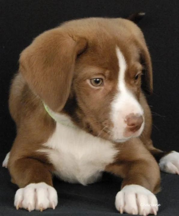 Billie Pawlish thumbnail 2