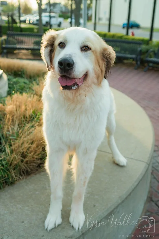 Argus 💚 thumbnail 2