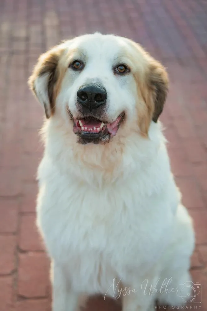 Argus 💚 thumbnail 3