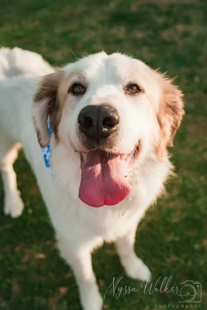 Argus 💚 thumbnail 4