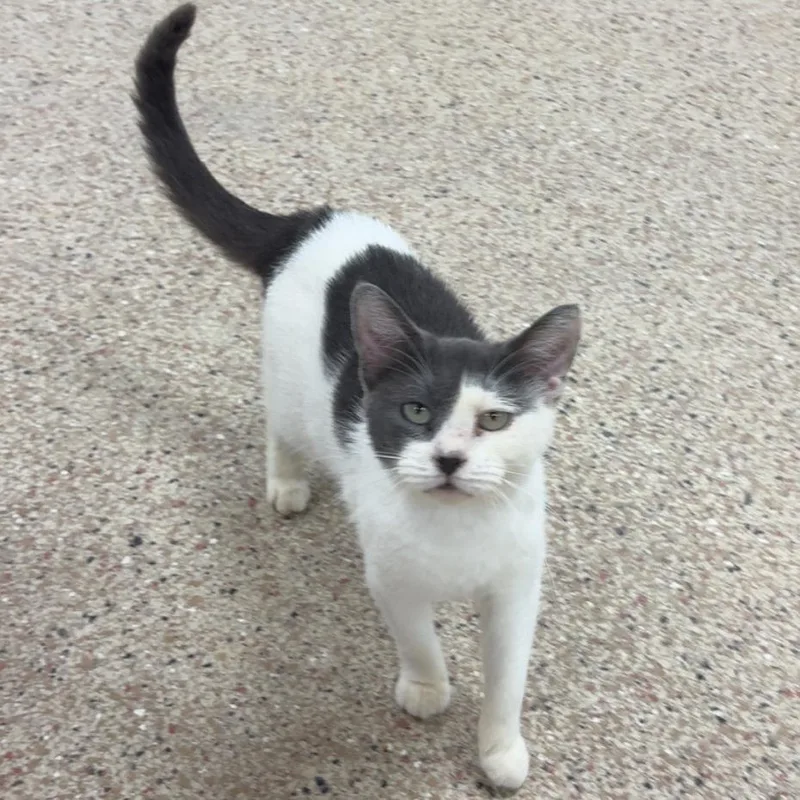 Bell  Dolores thumbnail 2