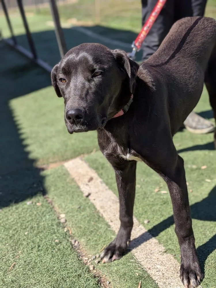 Wednesday thumbnail 6