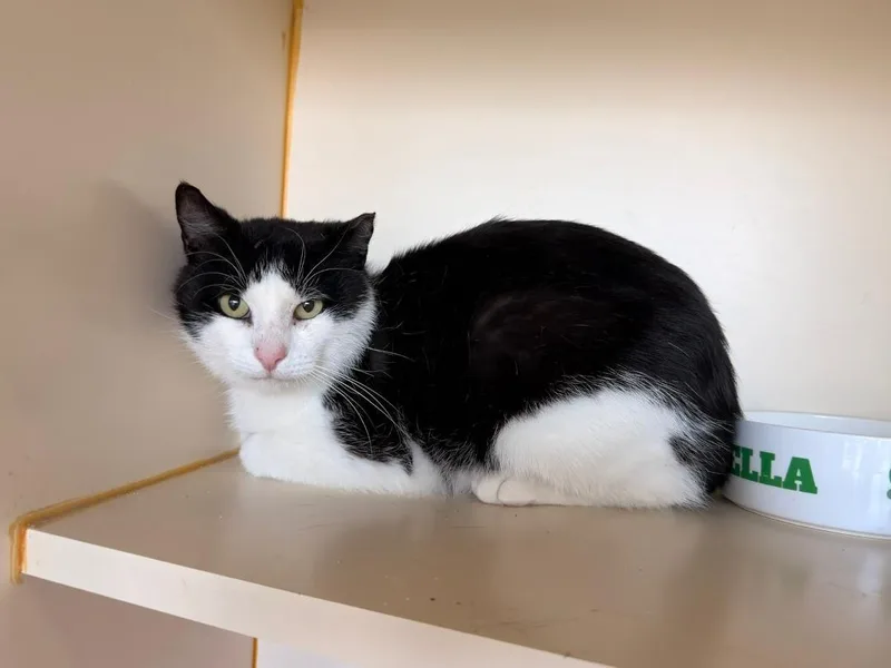 Tux