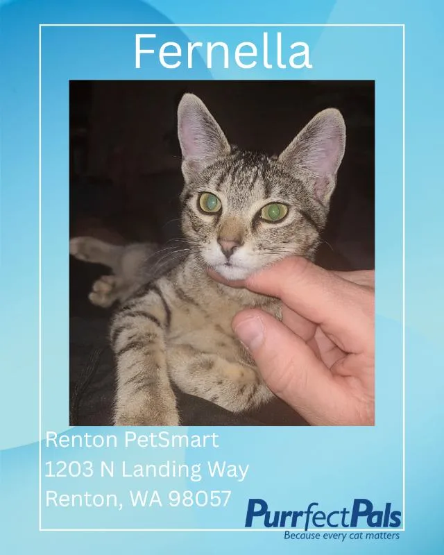 Fernella