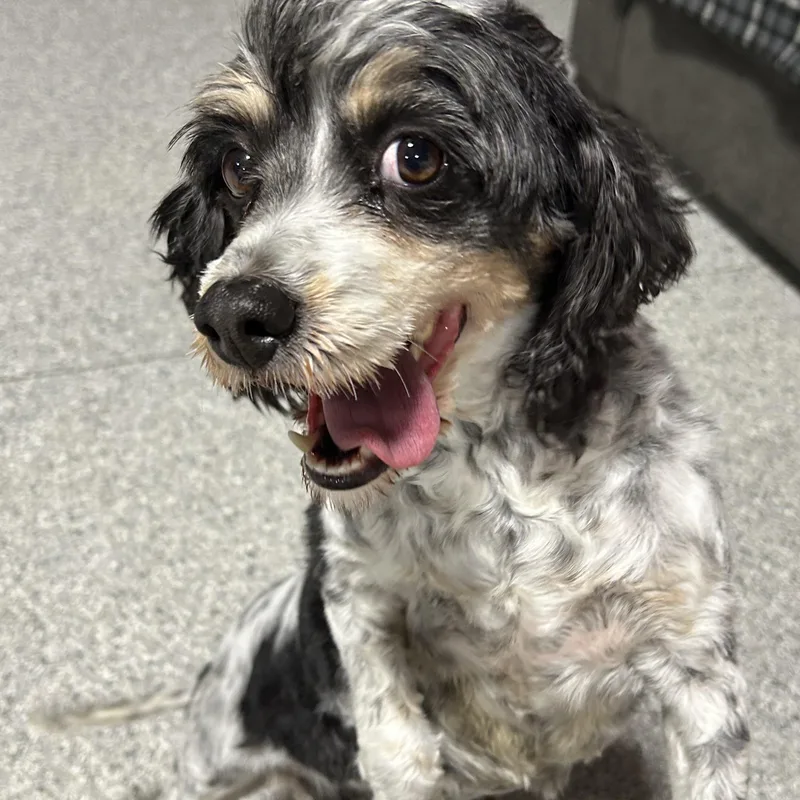 Megan Super Friendly! thumbnail 2