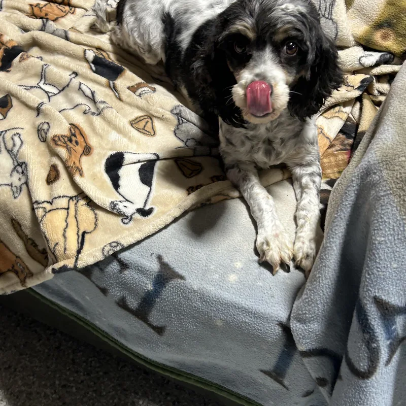 Megan Super Friendly! thumbnail 4