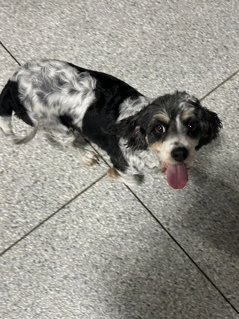 Megan Super Friendly!