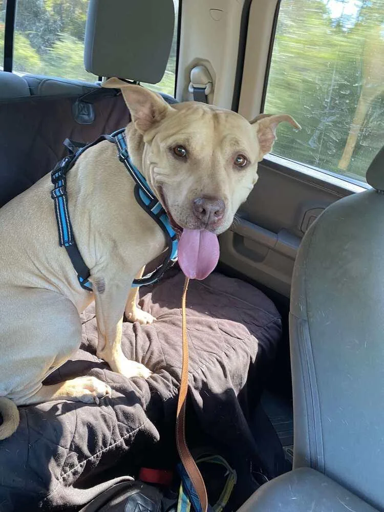 Welcom "tater" thumbnail 2