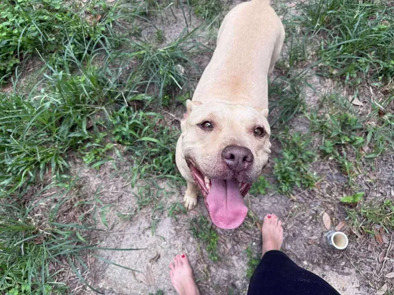 Welcom "tater" thumbnail 3