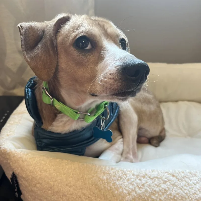 Topsy Turvy thumbnail 2