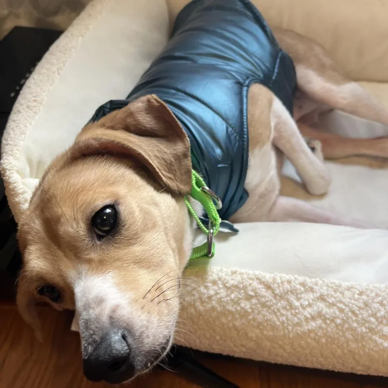 Topsy Turvy thumbnail 3