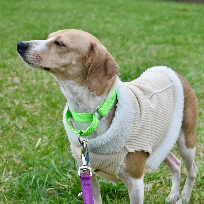 Topsy Turvy thumbnail 4