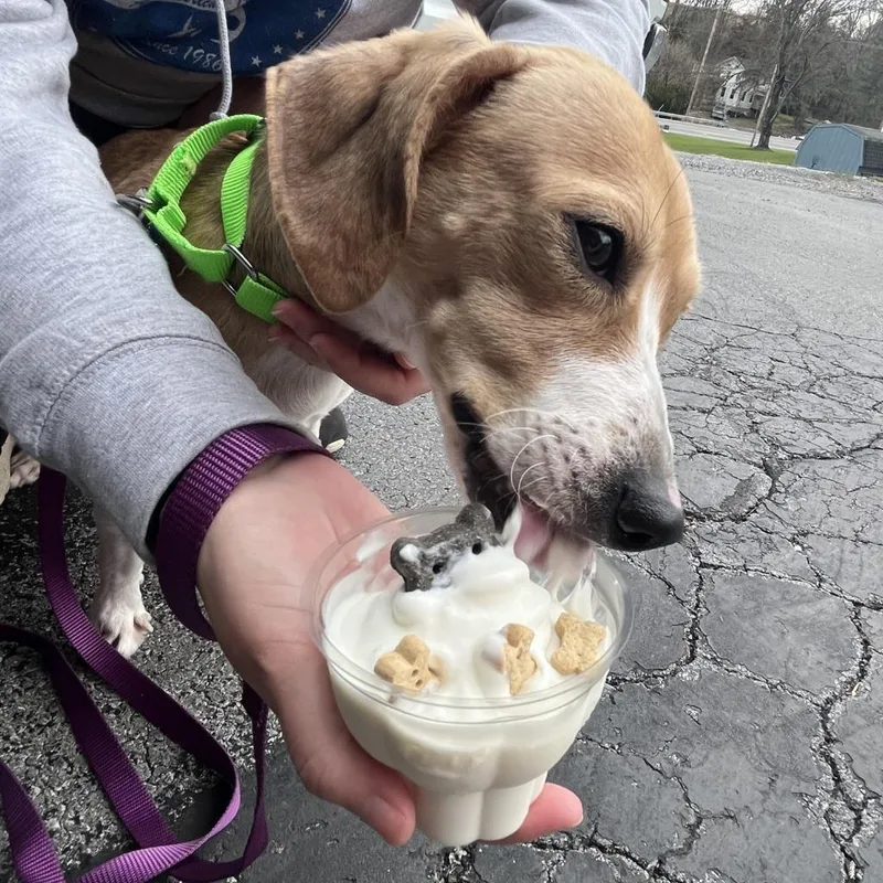 Topsy Turvy thumbnail 5