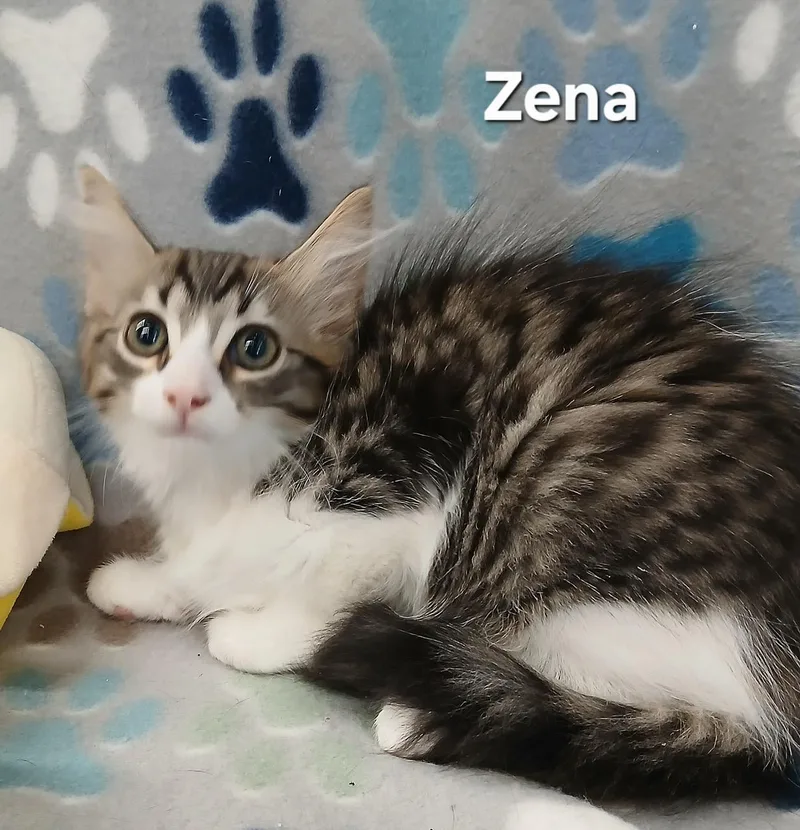 Sara & Zena BONDED