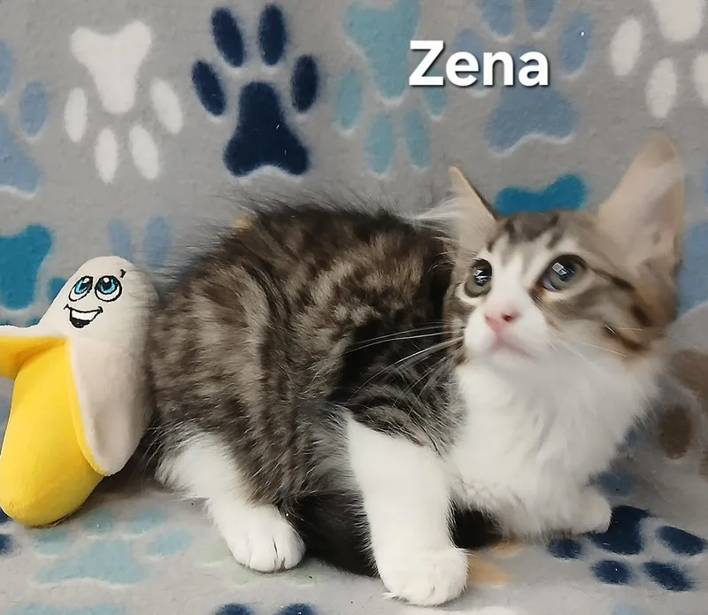 Sara & Zena BONDED thumbnail 2