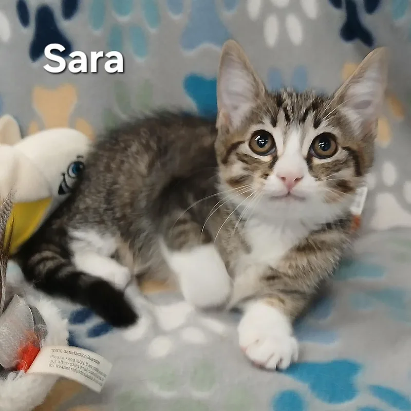 Sara & Zena BONDED thumbnail 3