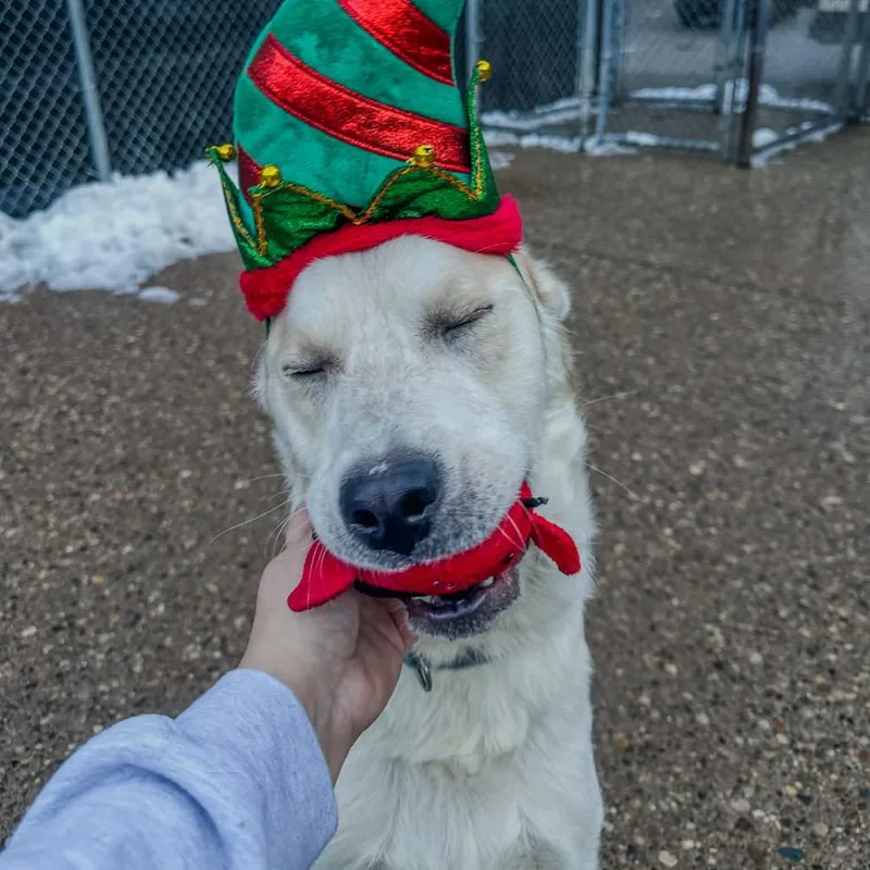 Giuseppe thumbnail 2