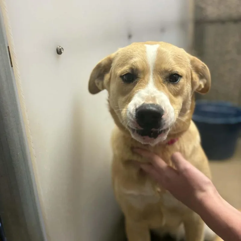 Precious thumbnail 2