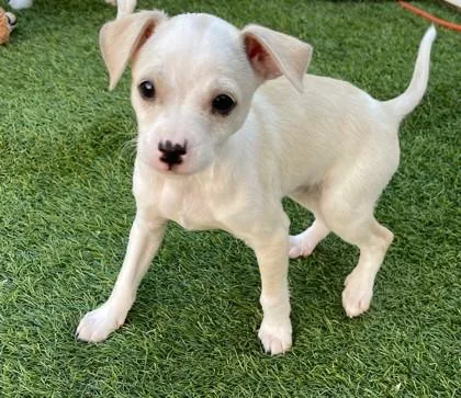 Bon Jovi thumbnail 2