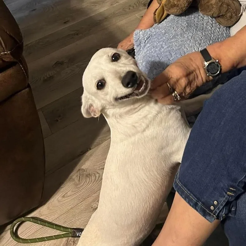 Benson