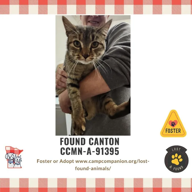 Found Canton thumbnail 3