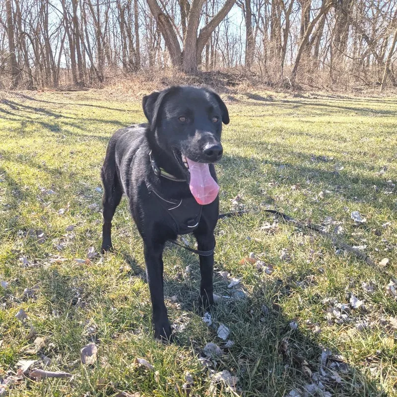 Lil Head Lenny thumbnail 5