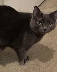 Smokey Hallman thumbnail 2