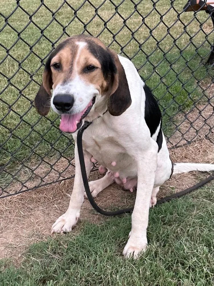 Cindy Lou thumbnail 2