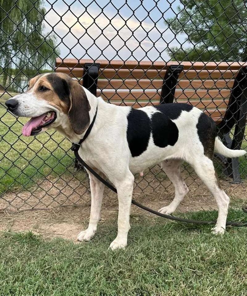 Cindy Lou thumbnail 5