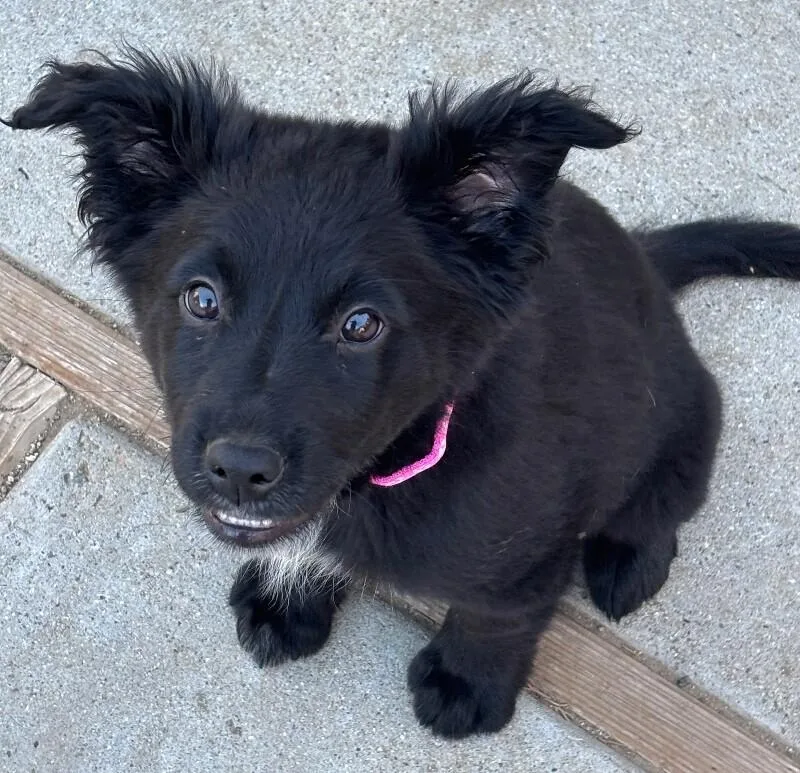 Charcoal thumbnail 2