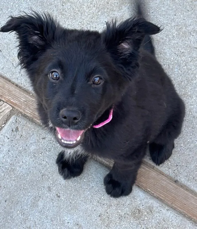 Charcoal thumbnail 5