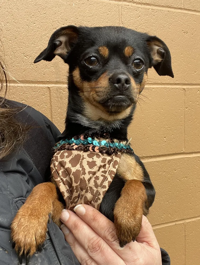 Fish Bait thumbnail 2