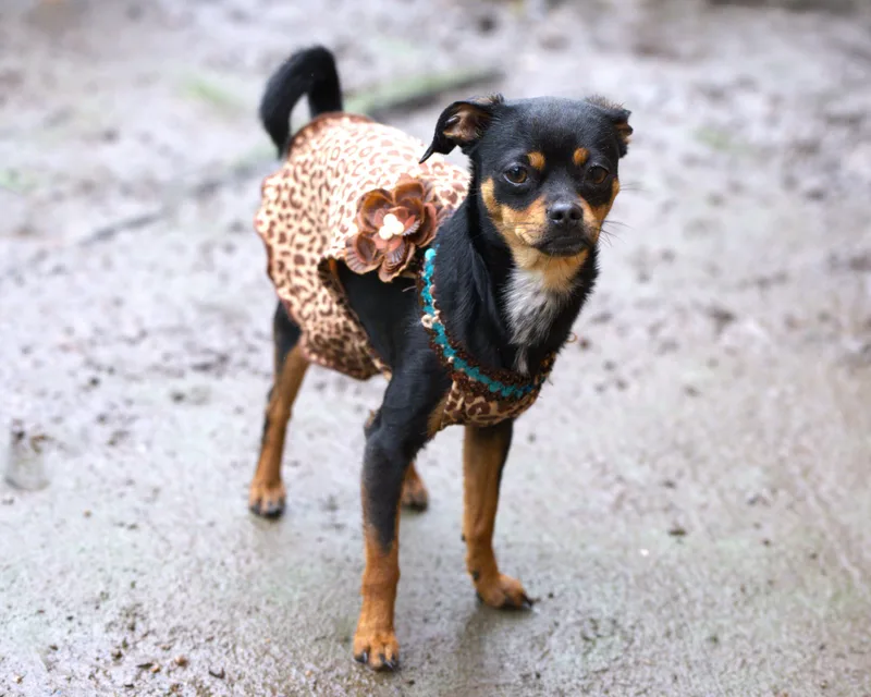 Fish Bait thumbnail 3