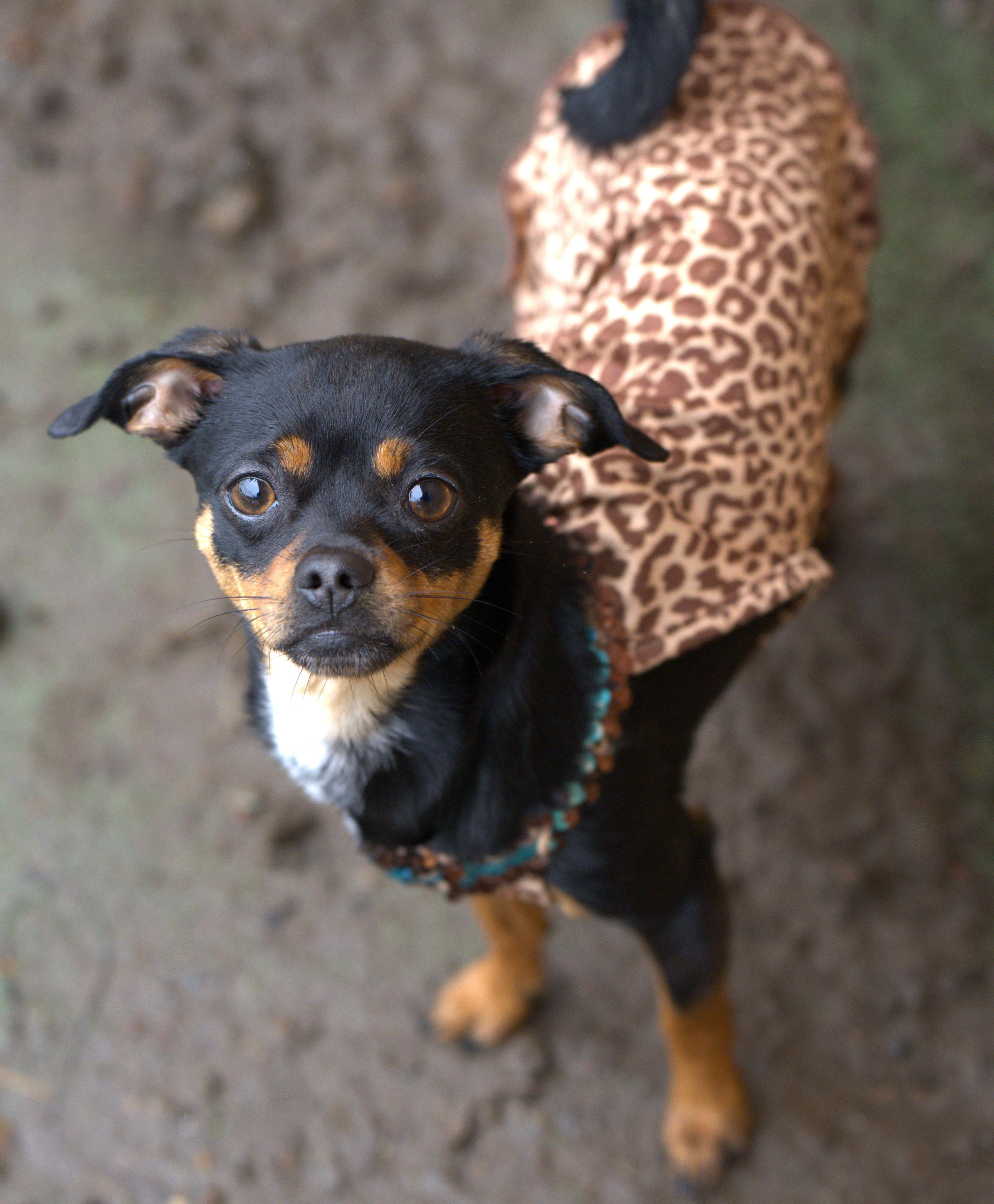 Fish Bait thumbnail 5