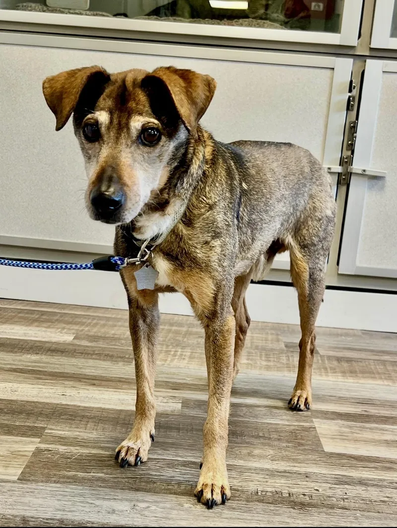 Chewy & Dee thumbnail 3