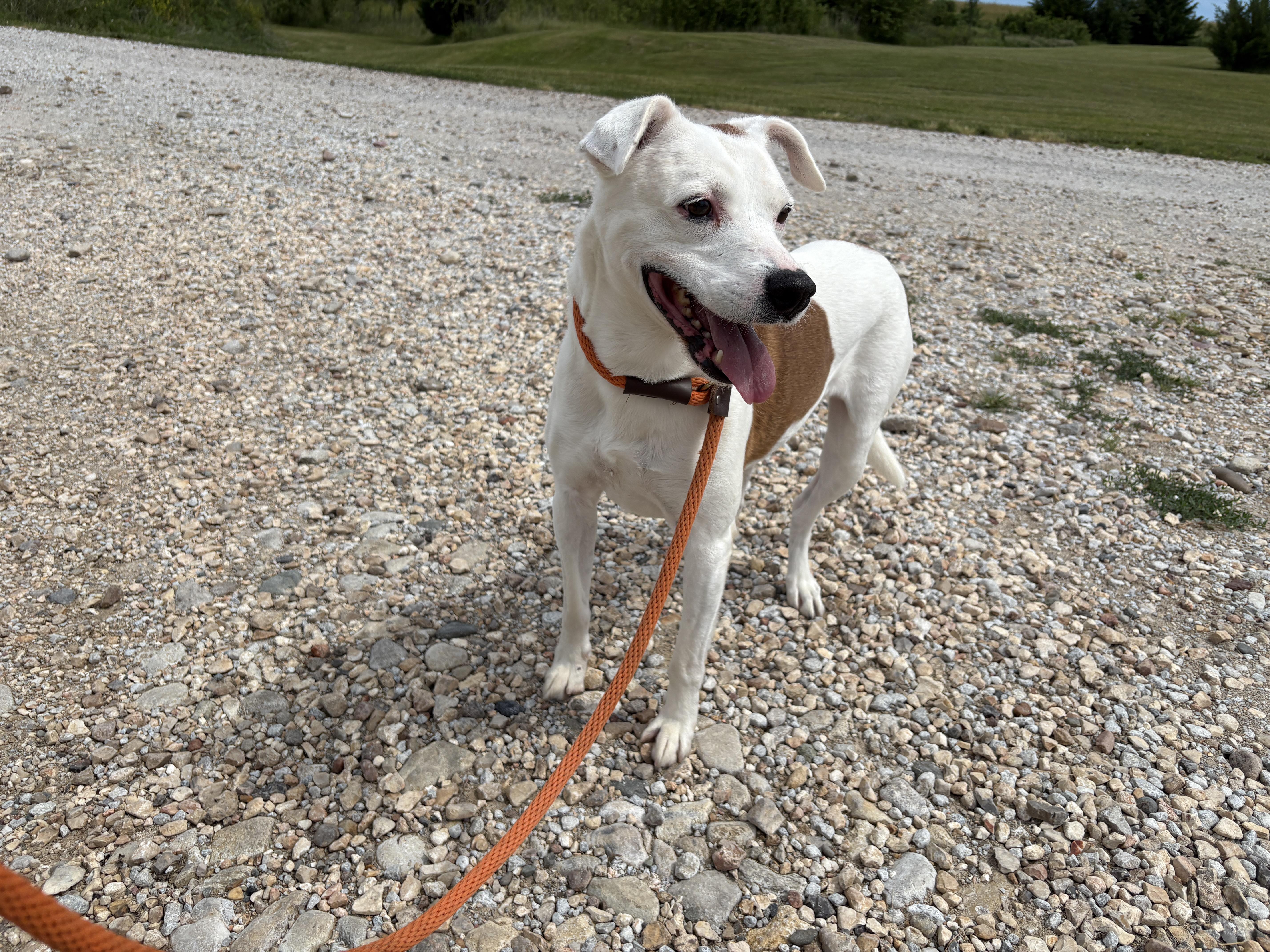 Gus