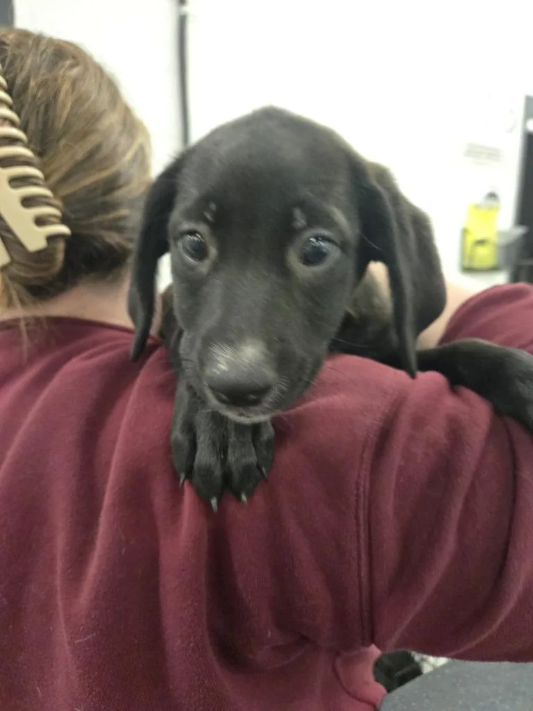 Extortion thumbnail 2