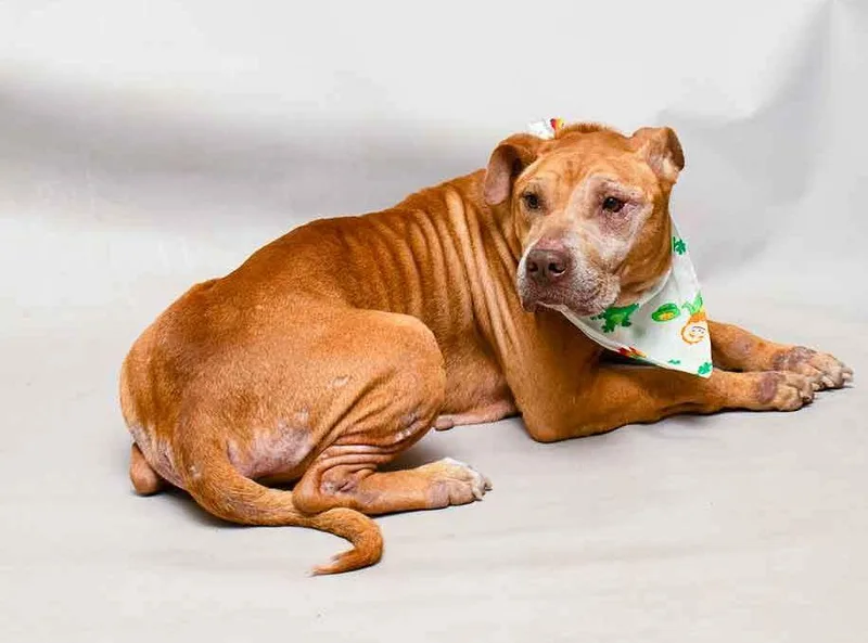 Hamilton thumbnail 2