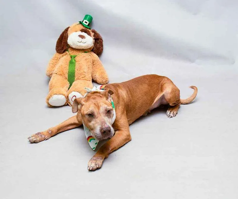 Hamilton thumbnail 3