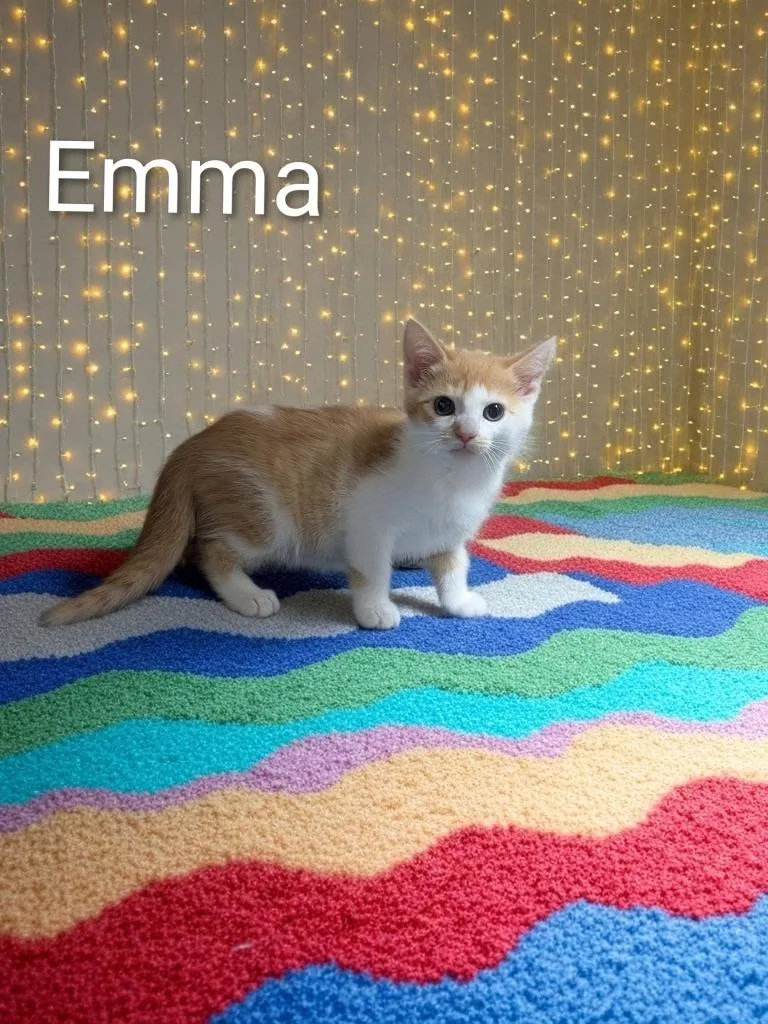 Emma