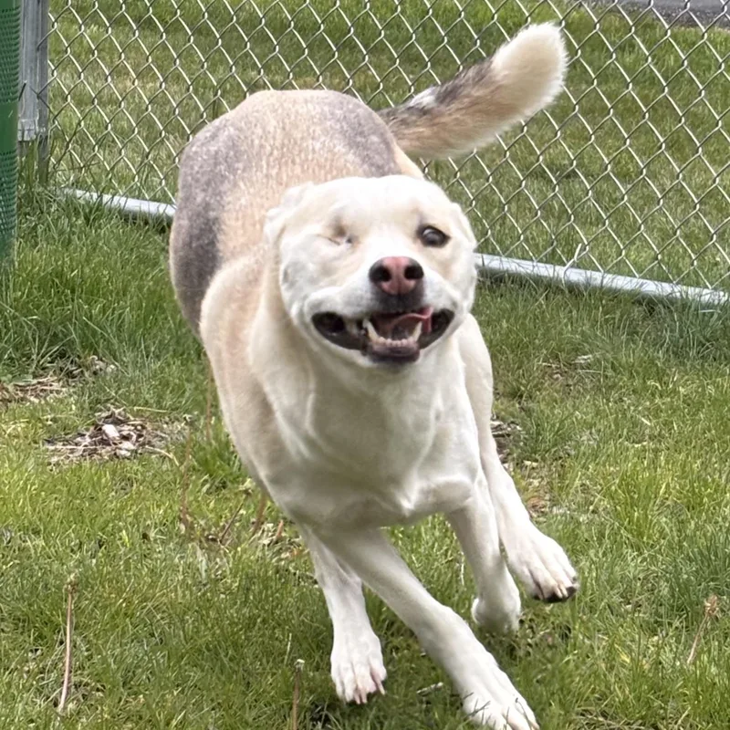 Wink