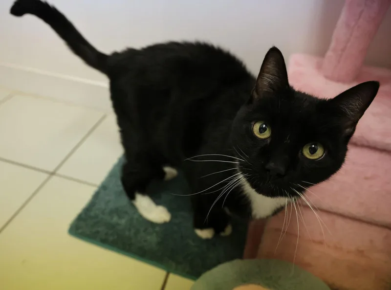 Duffy Rm thumbnail 2