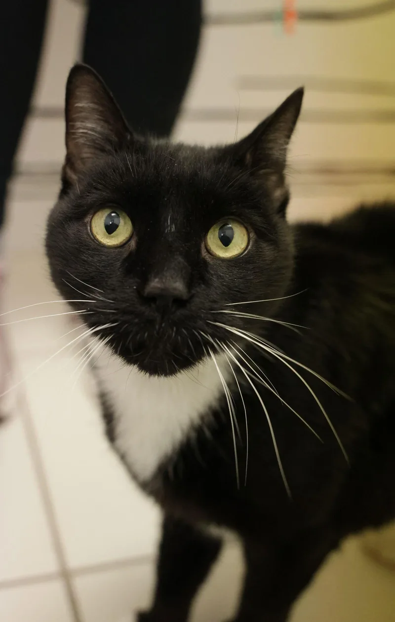 Duffy Rm thumbnail 3