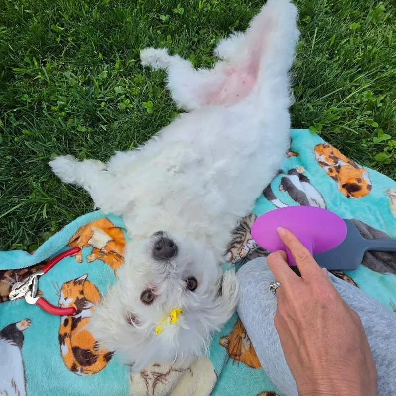 Jilly thumbnail 2