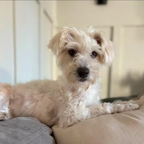 Jilly thumbnail 3