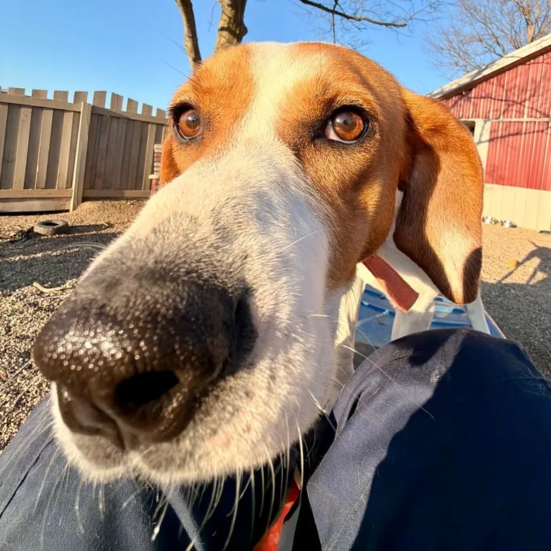Cooper Sweet Boy! thumbnail 2
