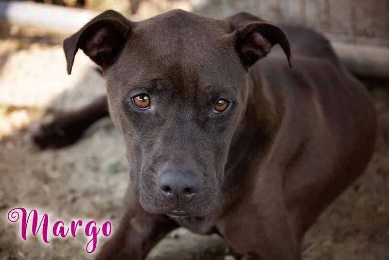 Margo
