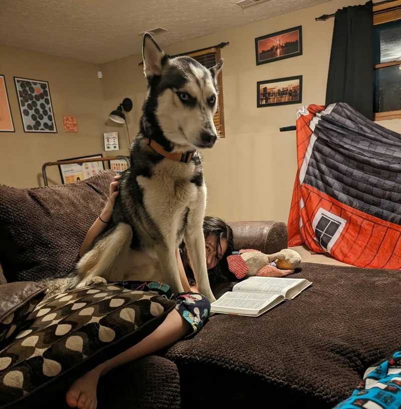 Koda thumbnail 3