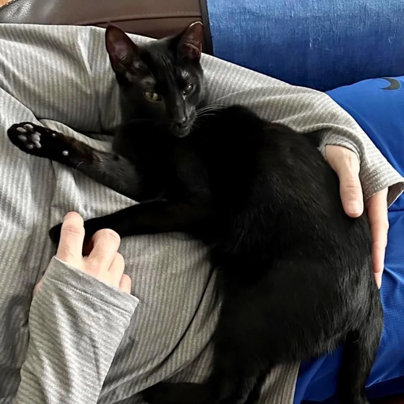 Sadie thumbnail 2