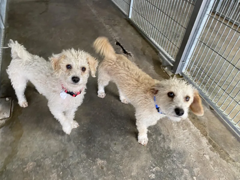 Evan And Owen photo 1